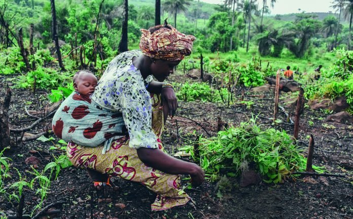 Annie spratt GaLzDCnA5EI unsplash 696x464